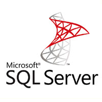 Microsoft SSRS logo